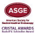 ASGE - Rudolf V. Schindler Award